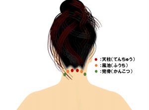 天柱・風池・完骨