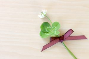 四つ葉のクローバー