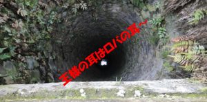 王様の耳はロバの耳